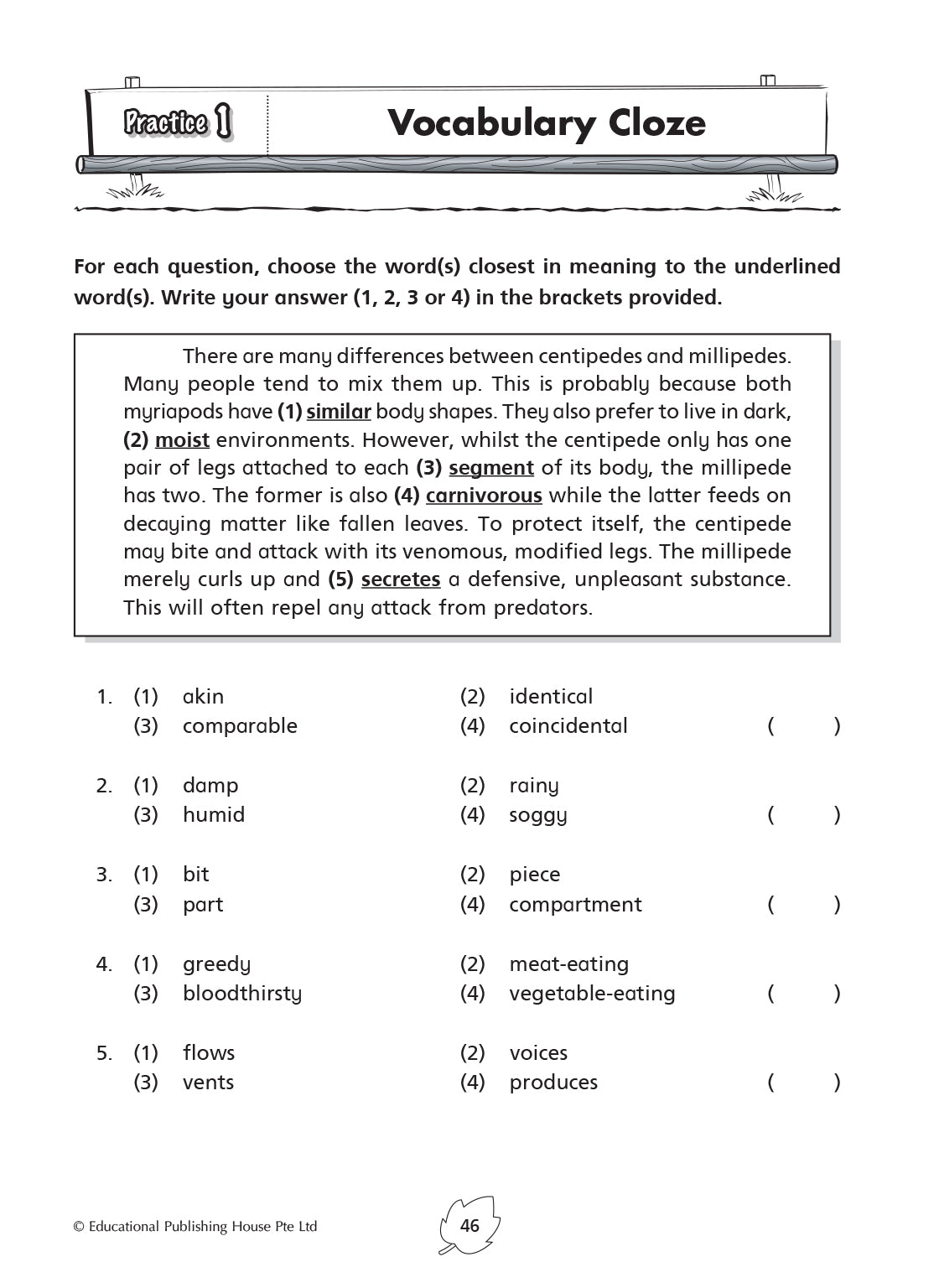 Primary 5 English Practice 1000+ 