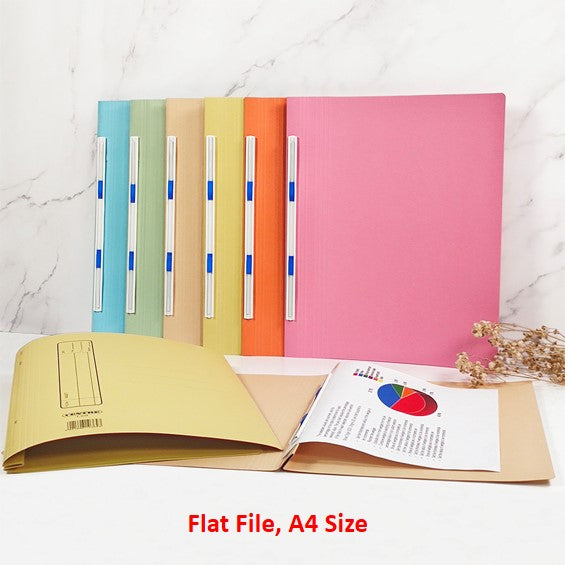 POP BAZIC Flat File 5s