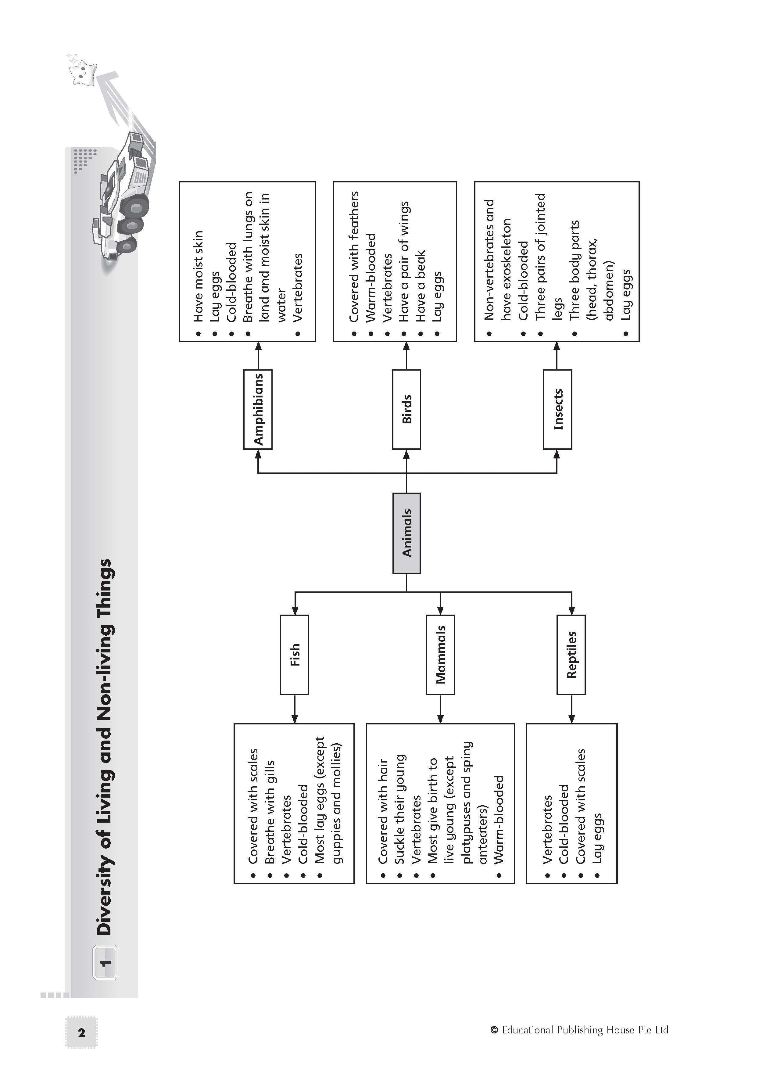 Primary 5 Science Exam Power Pack