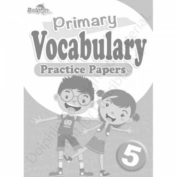 P5 Vocabulary Practice Papers