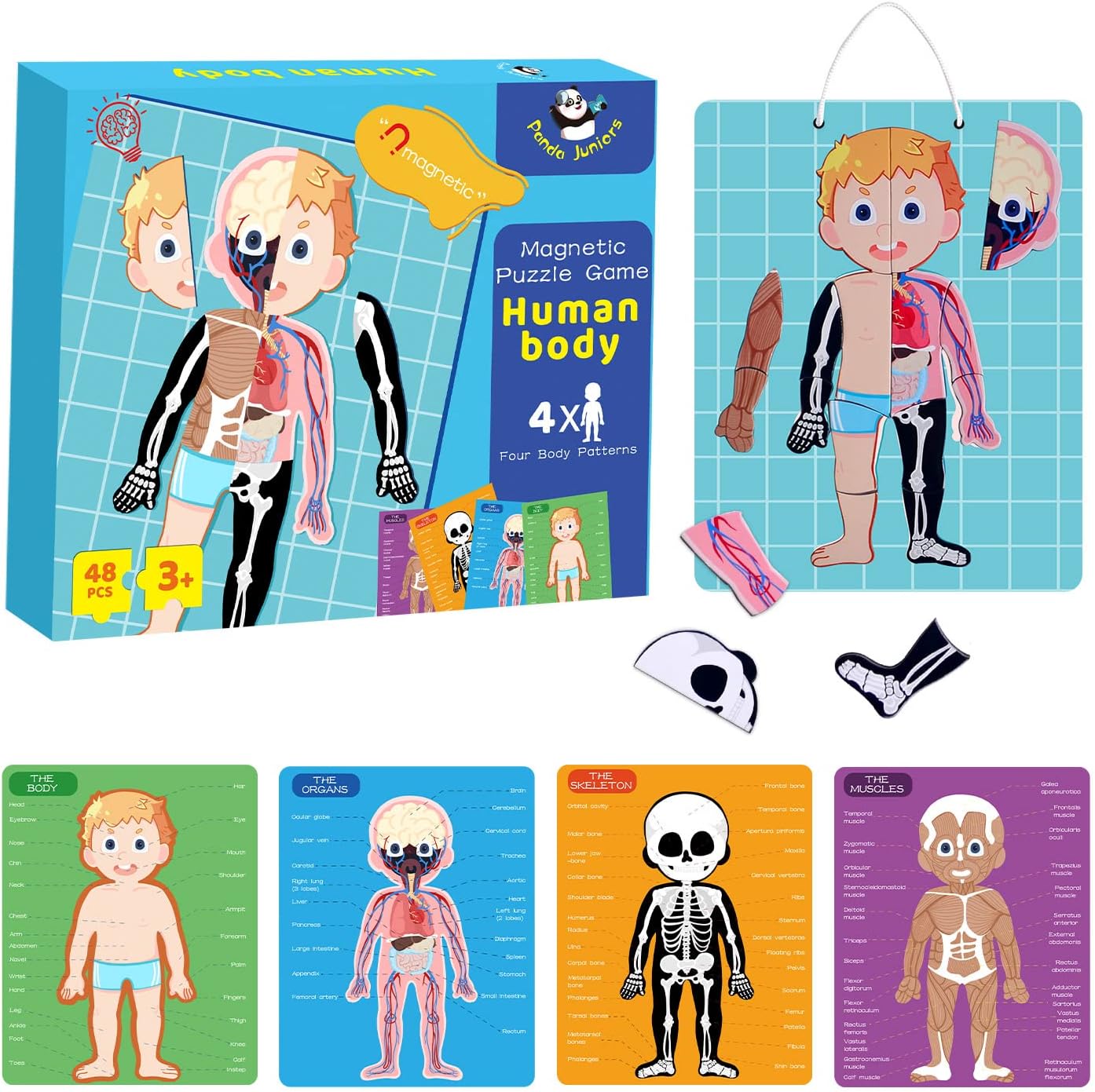 PANDA JUNIORS MAGNETIC PUZZLE GAME HUMAN BODY