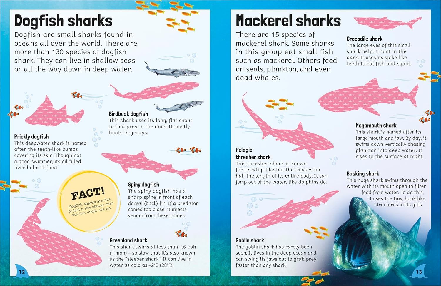 Sharks (Sticker Encyclopedia)