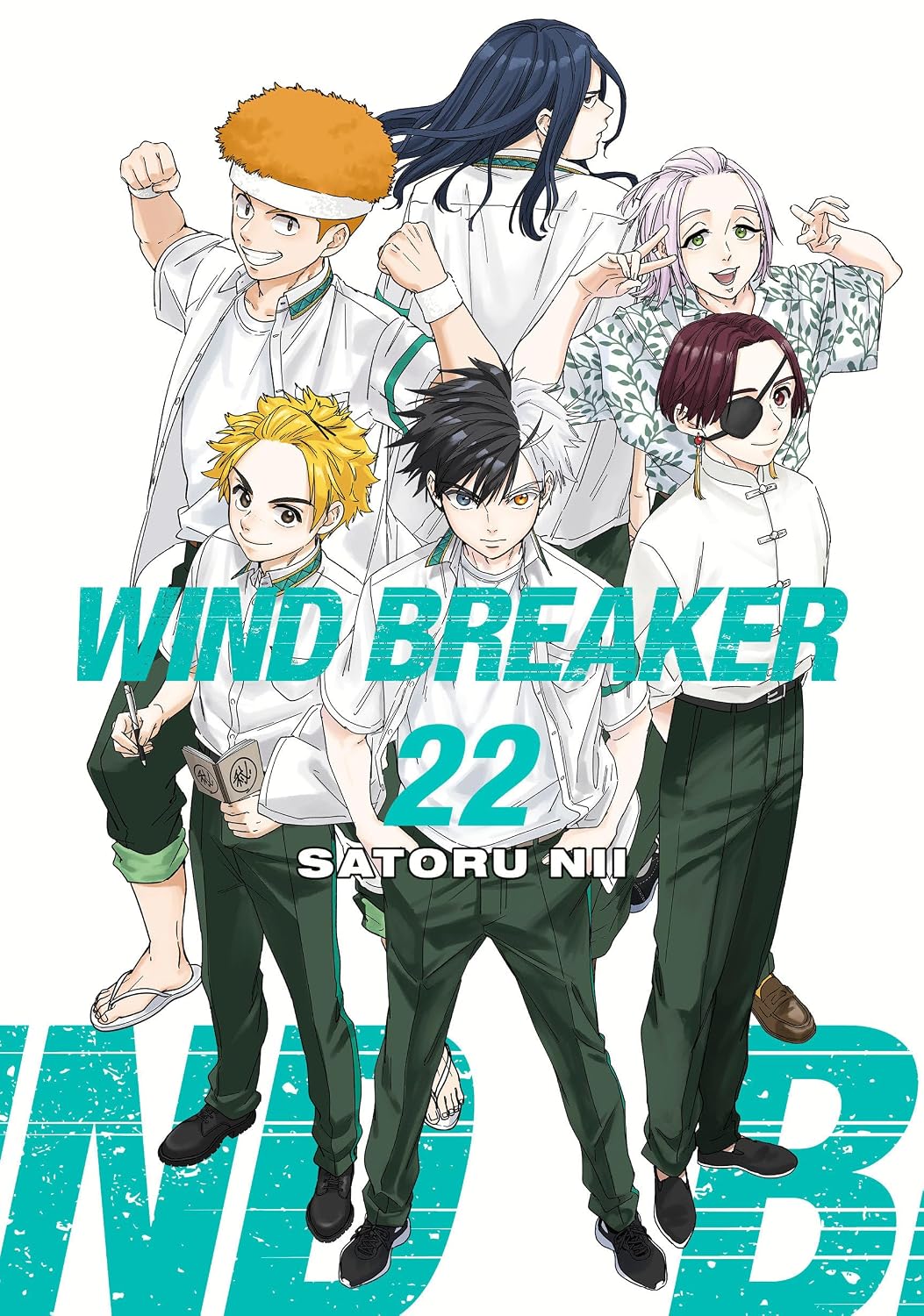 Wind Breaker 22 (Paperback)