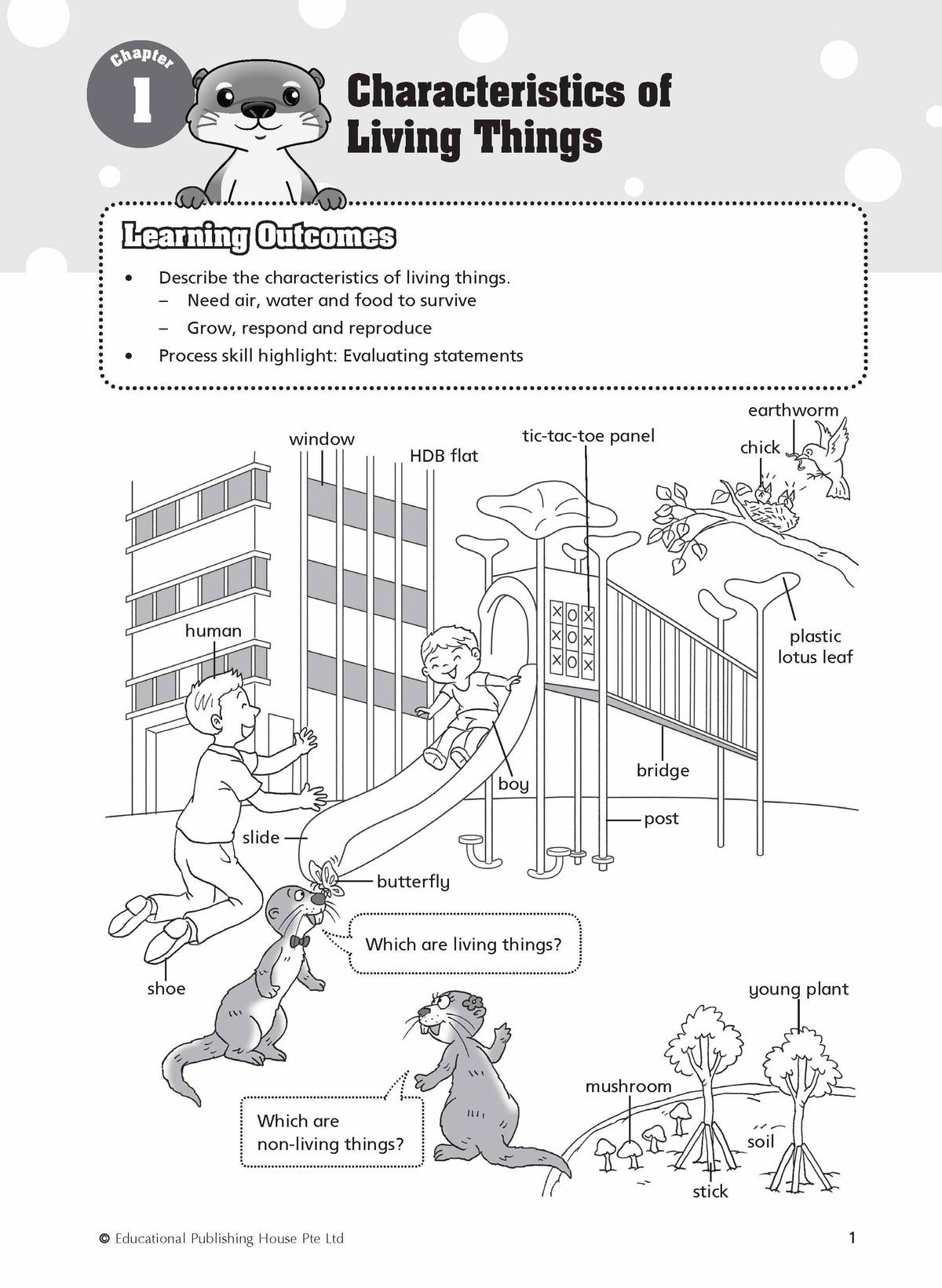 P3 Must Know Science Process Skills & Key Words 