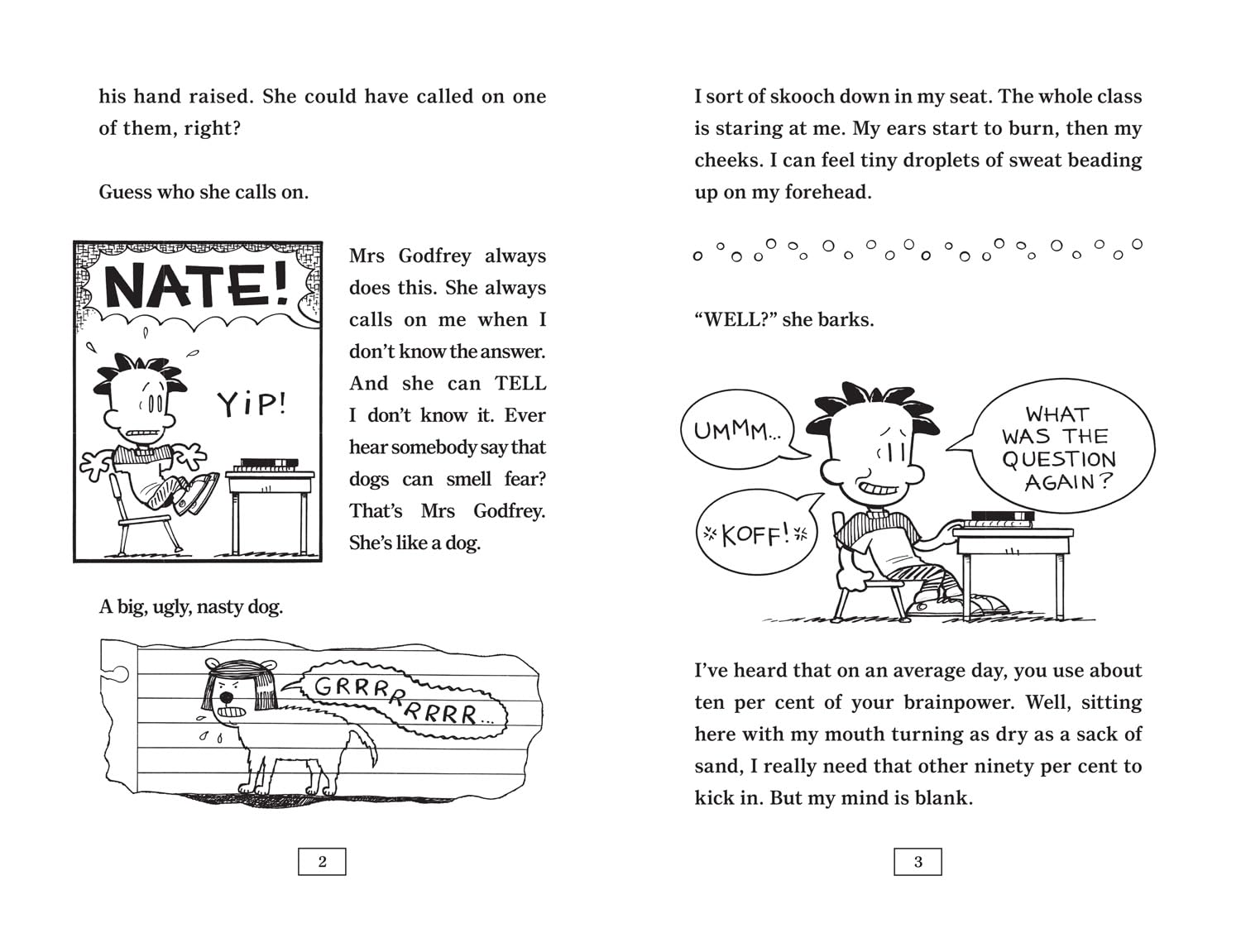 The Boy with the Biggest Head in the World (Big Nate)