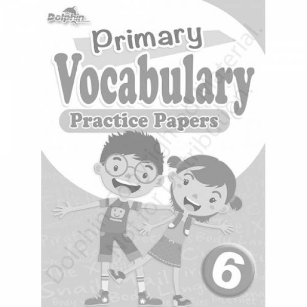 P6 Vocabulary Practice Papers