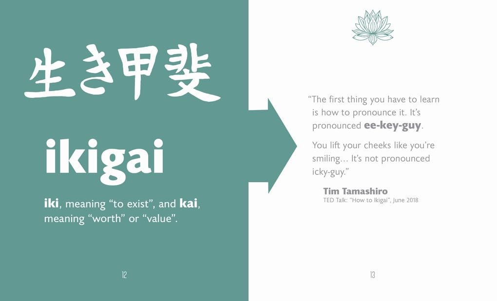 The Little Book of Ikigai (Hardcover)