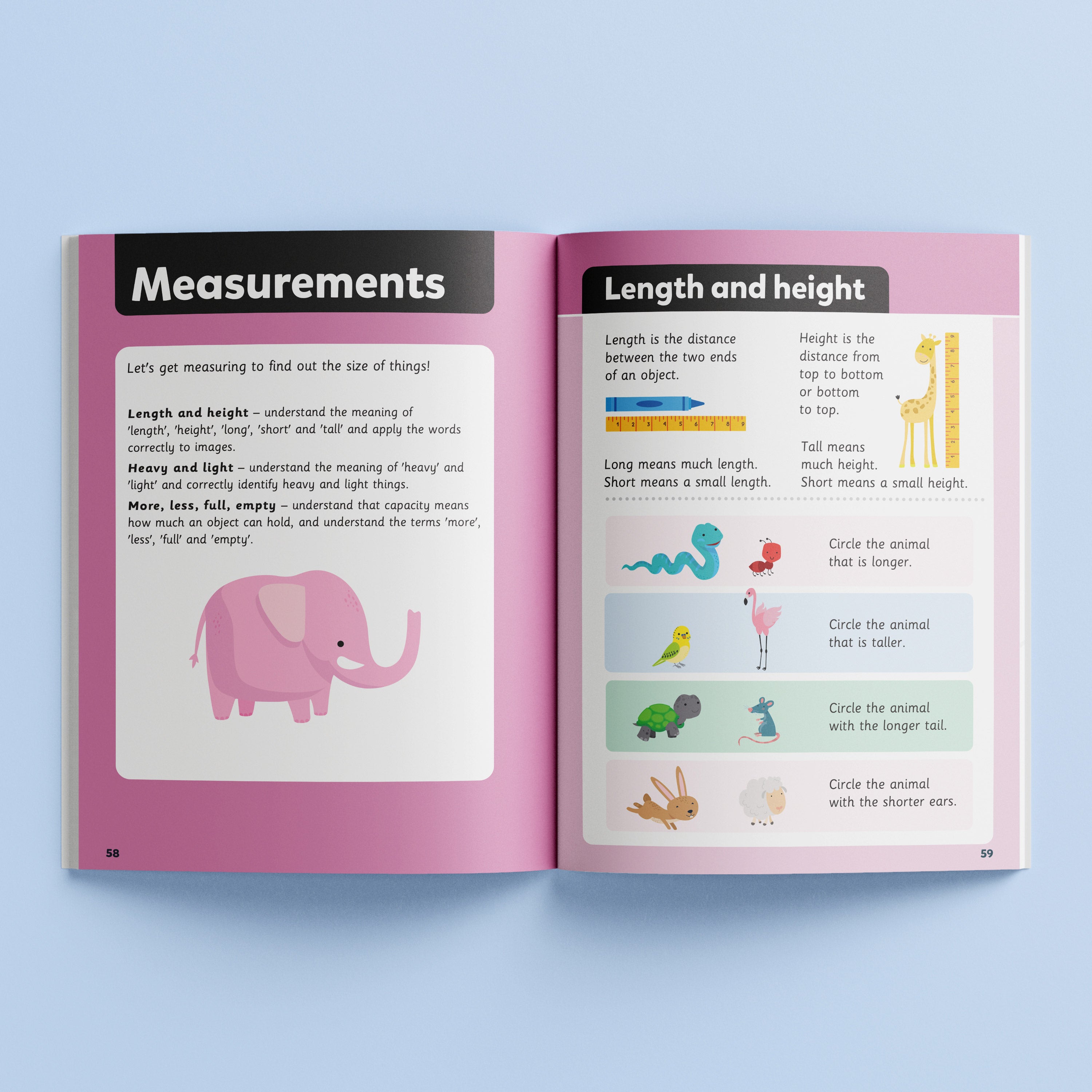 Junior Explorer Number and Maths