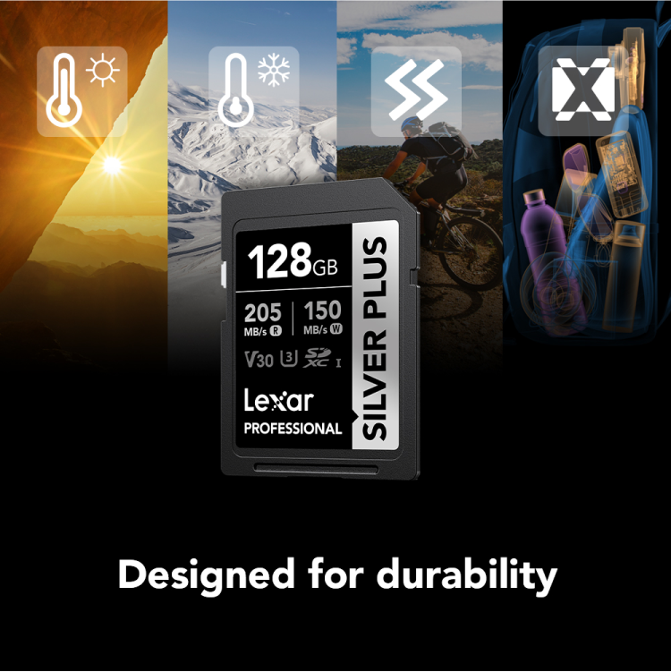 Lexar 128GB Silver Plus SDXC C10 R205/W150 Memory Card