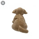 Uw Ss 12 Brown Dog