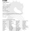小六高级华文 同步练习 (6A) / Higher Chinese Topical Exercises For Primary 6A
