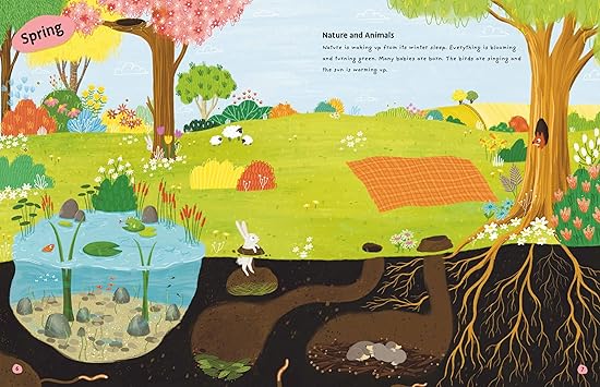 Deluxe Sticker Book: The Four Seasons (Paperback – Sticker Book)