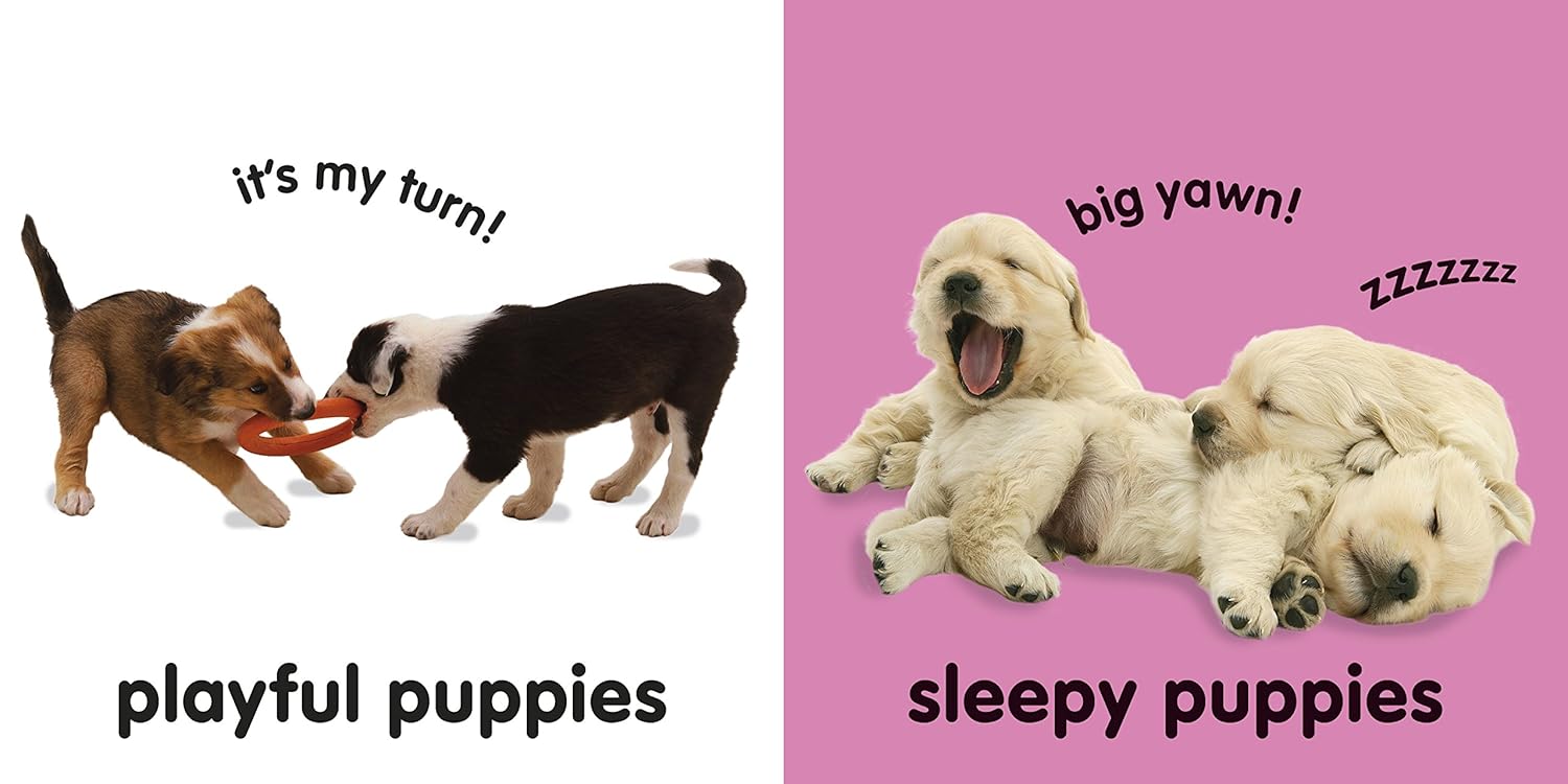 Baby Touch & Feel Puppies (Board Book)