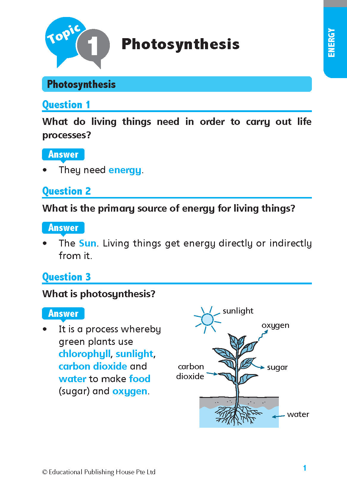 P6 Science Quick and Effective Q&A 