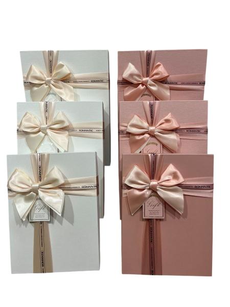 Gift Box (M) 26*19*8 Y91307