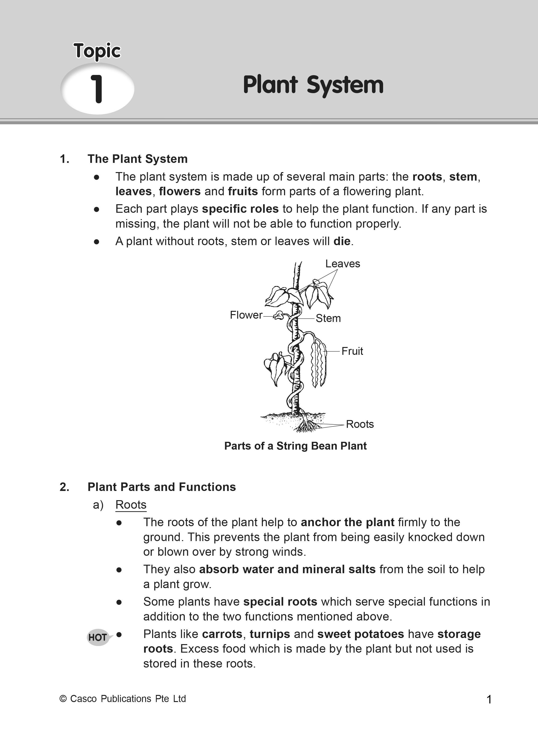 Classroom Science Process Skills Primary 4 - 2nd Edition
