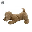 Uw Ss 12 Brown Dog