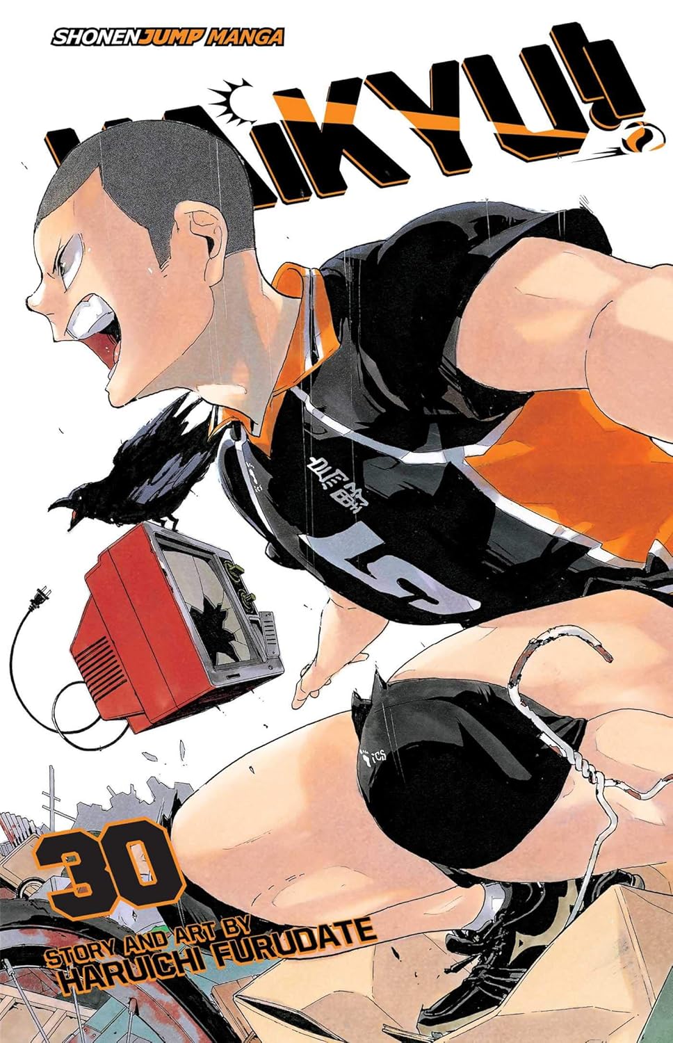Haikyu!!, Vol. 30 (Manga)