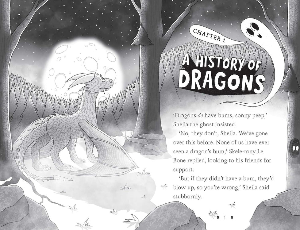 Villains Academy 2: How To Steal a Dragon (Paperback)