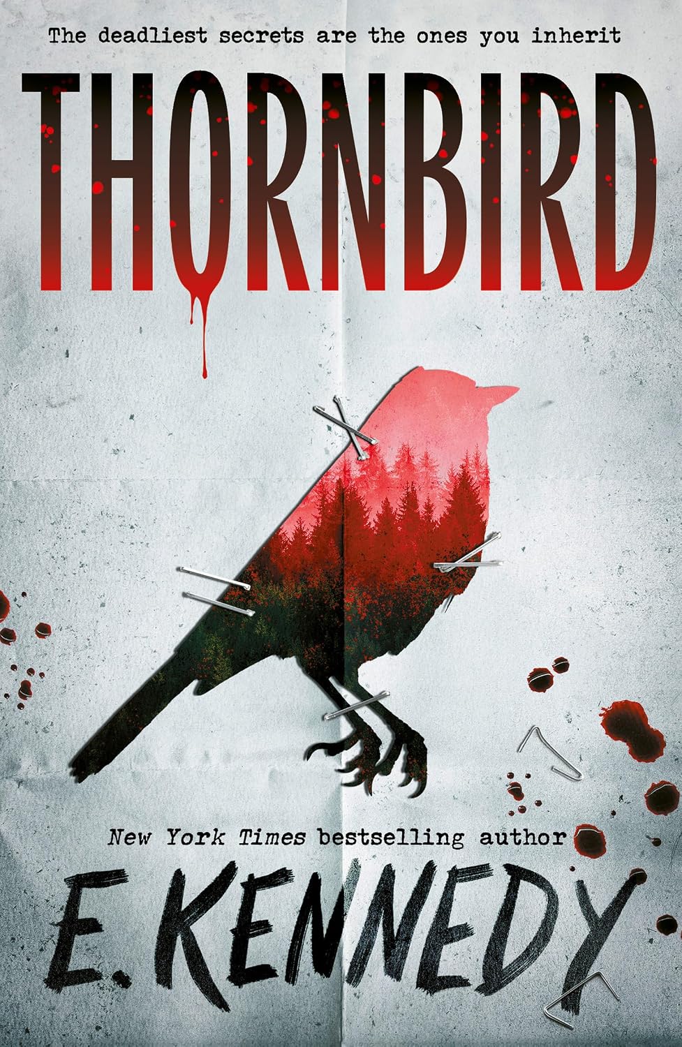 Thornbird (Paperback)
