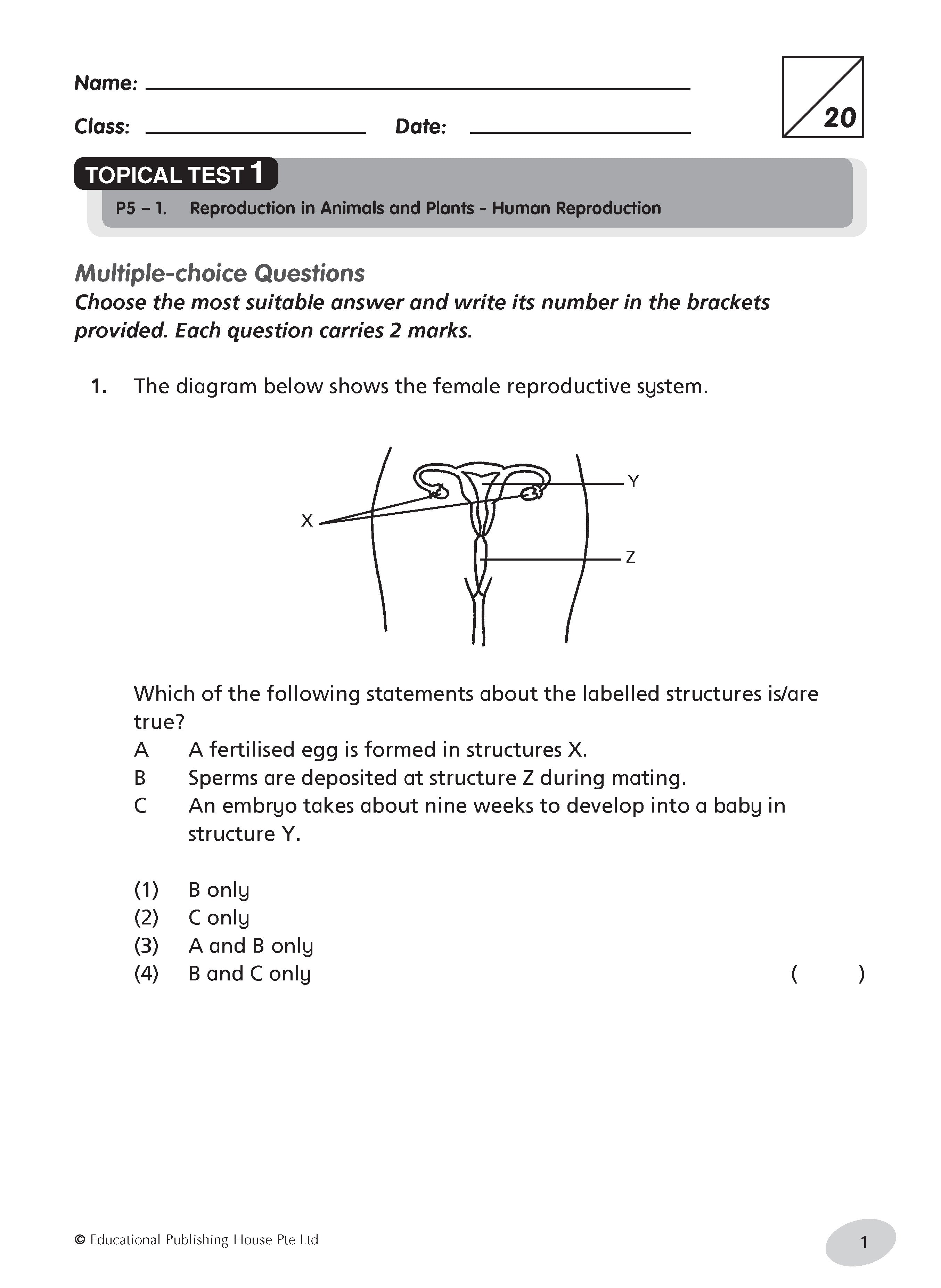 Primary 5 Science Tests
