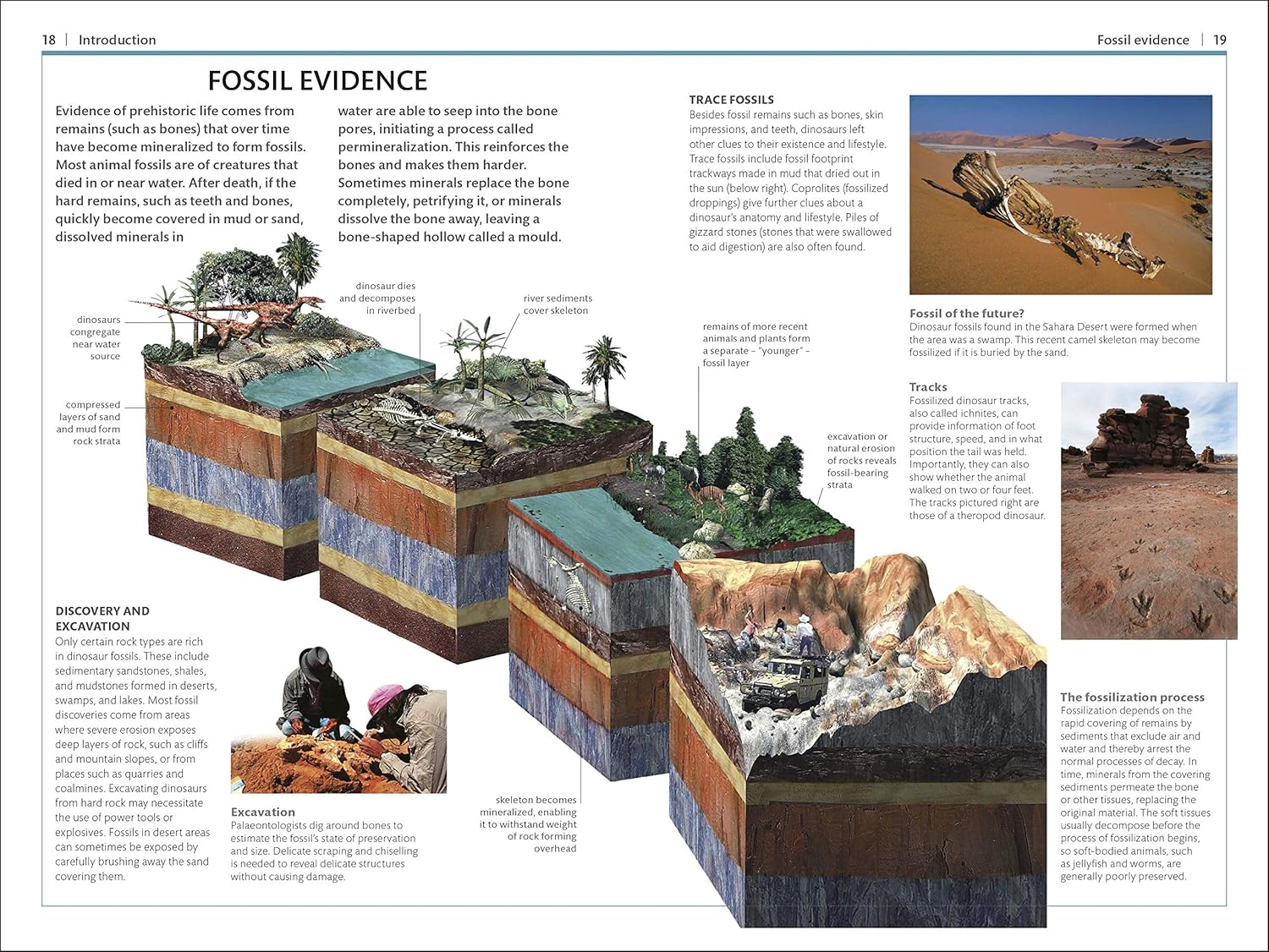 Dinosaurs and Other Prehistoric Life Handbook