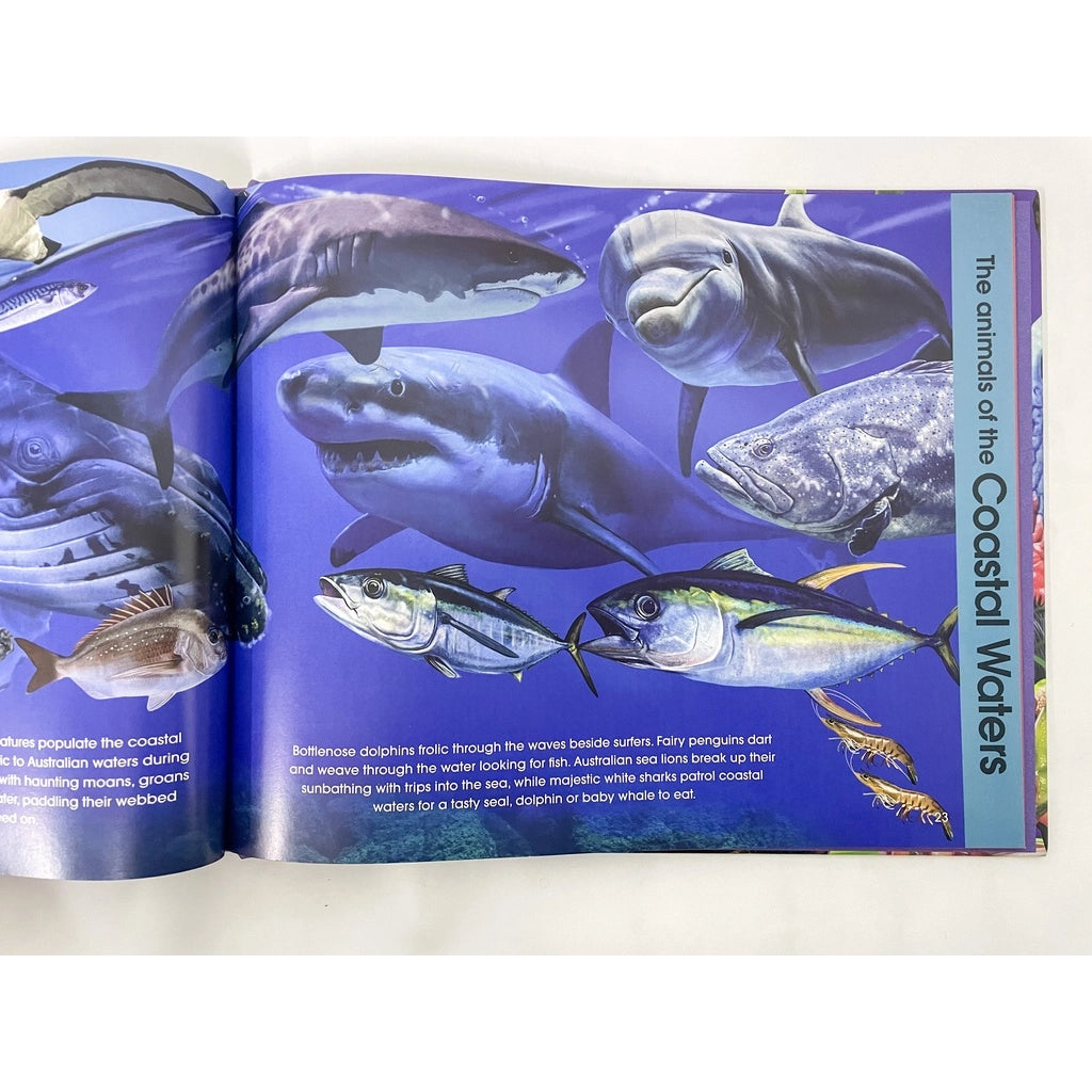 Discover The Animals Of Australia (For Kids With Beautiful Illustrations & Stories) – Hardcover