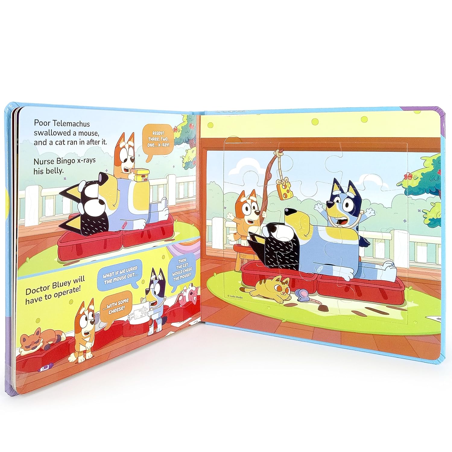 Bluey My First Puzzle Book (10-Page Board Book, 5 Puzzles) – Picture Book