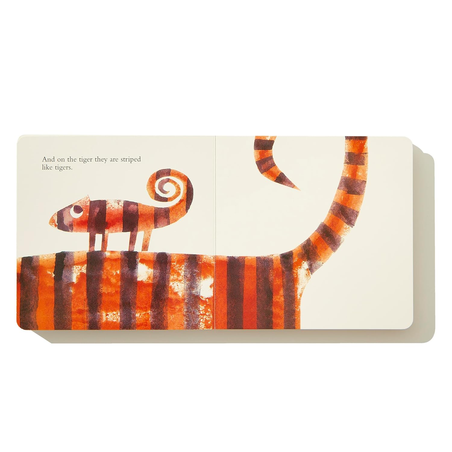 A Color of His Own with Color Wheel (Board Book)