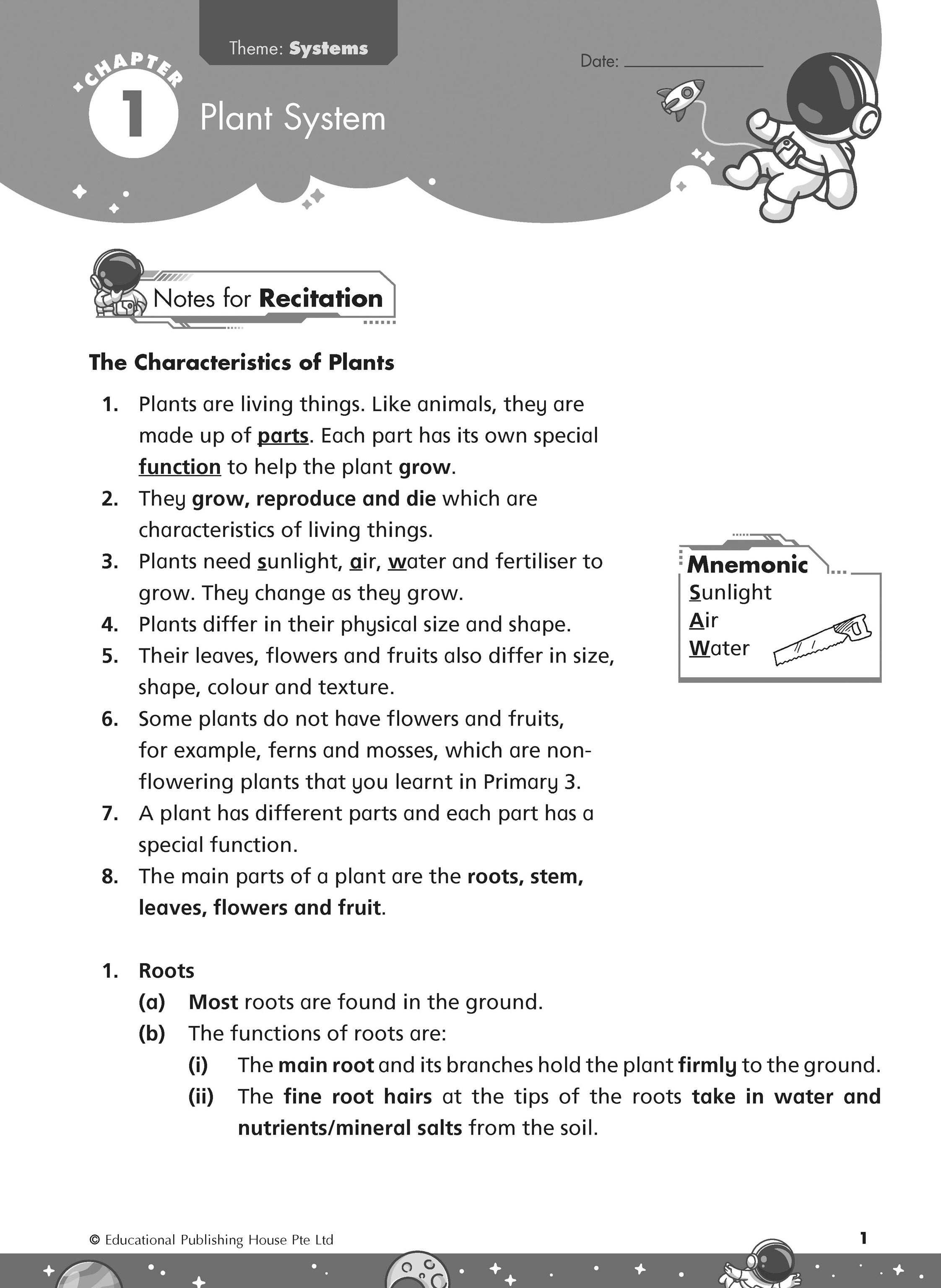 Primary 4 Rise To Excel In Science