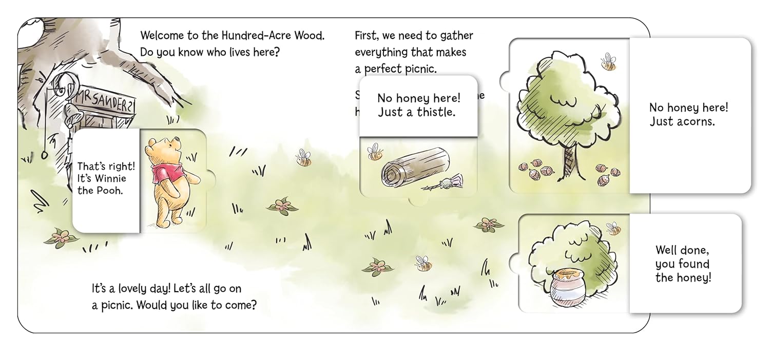 Disney: Winnie The Pooh: A Perfect Picnic