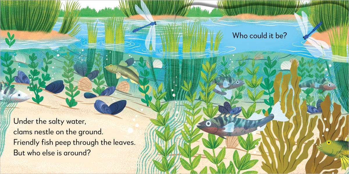Pop Up Peekaboo! Seashore (Board Book)