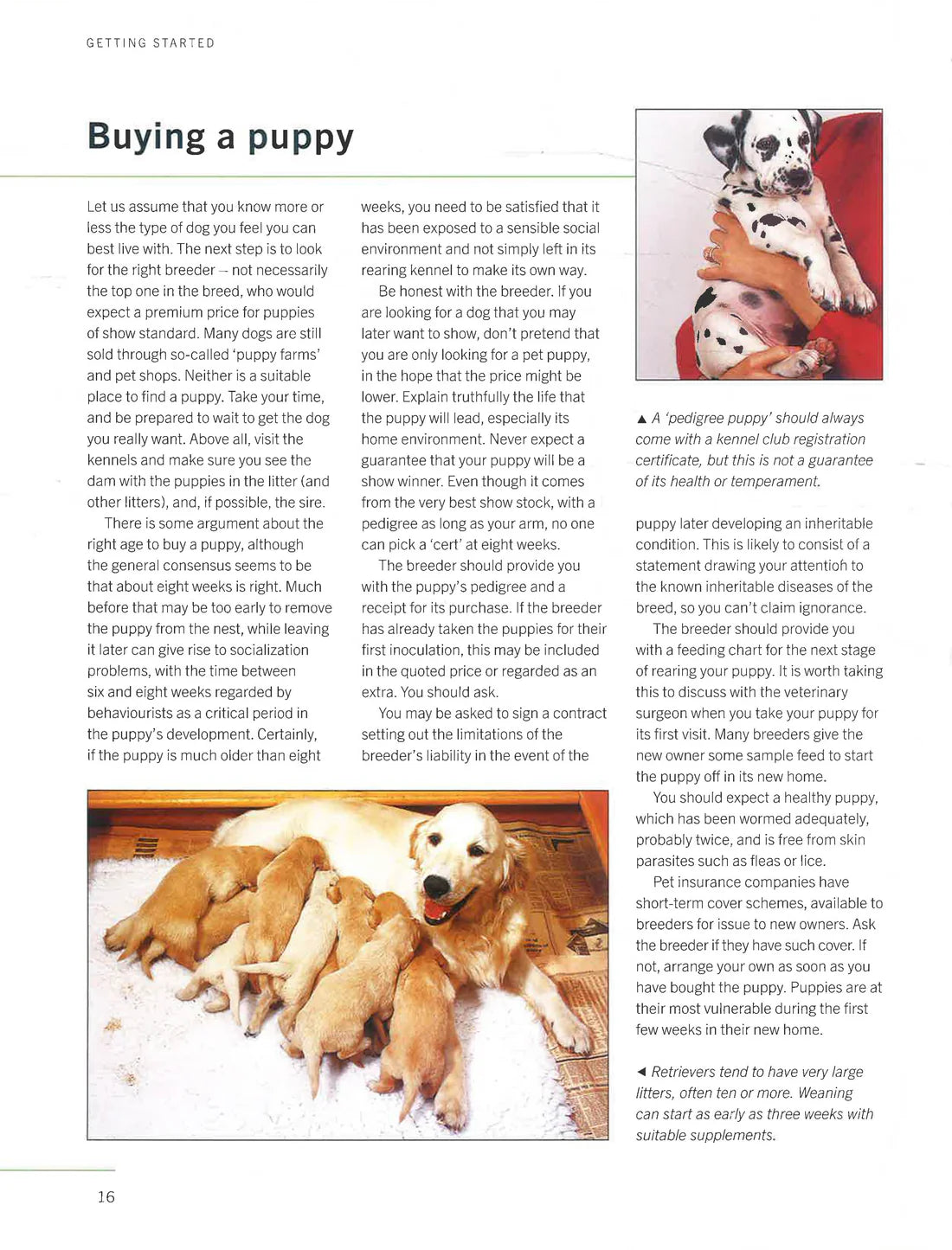 The Ultimate Encyclopedia Of Dogs - Breeds & Care