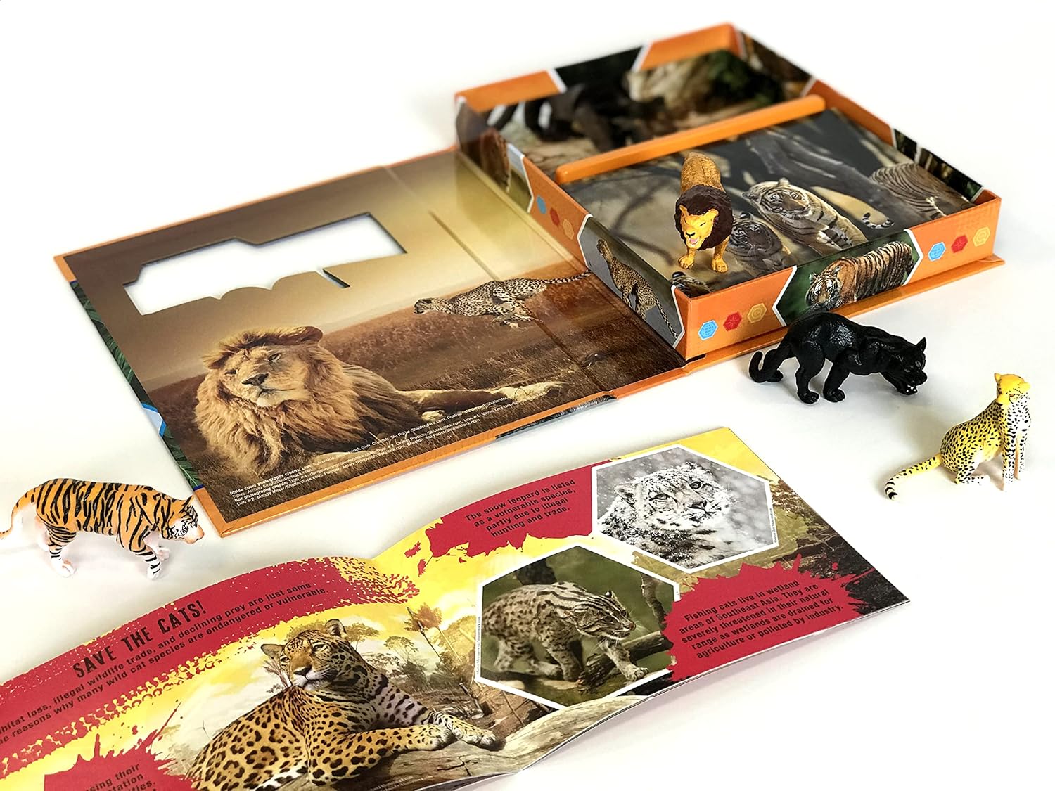 Wild Cats Pocket Explorers 