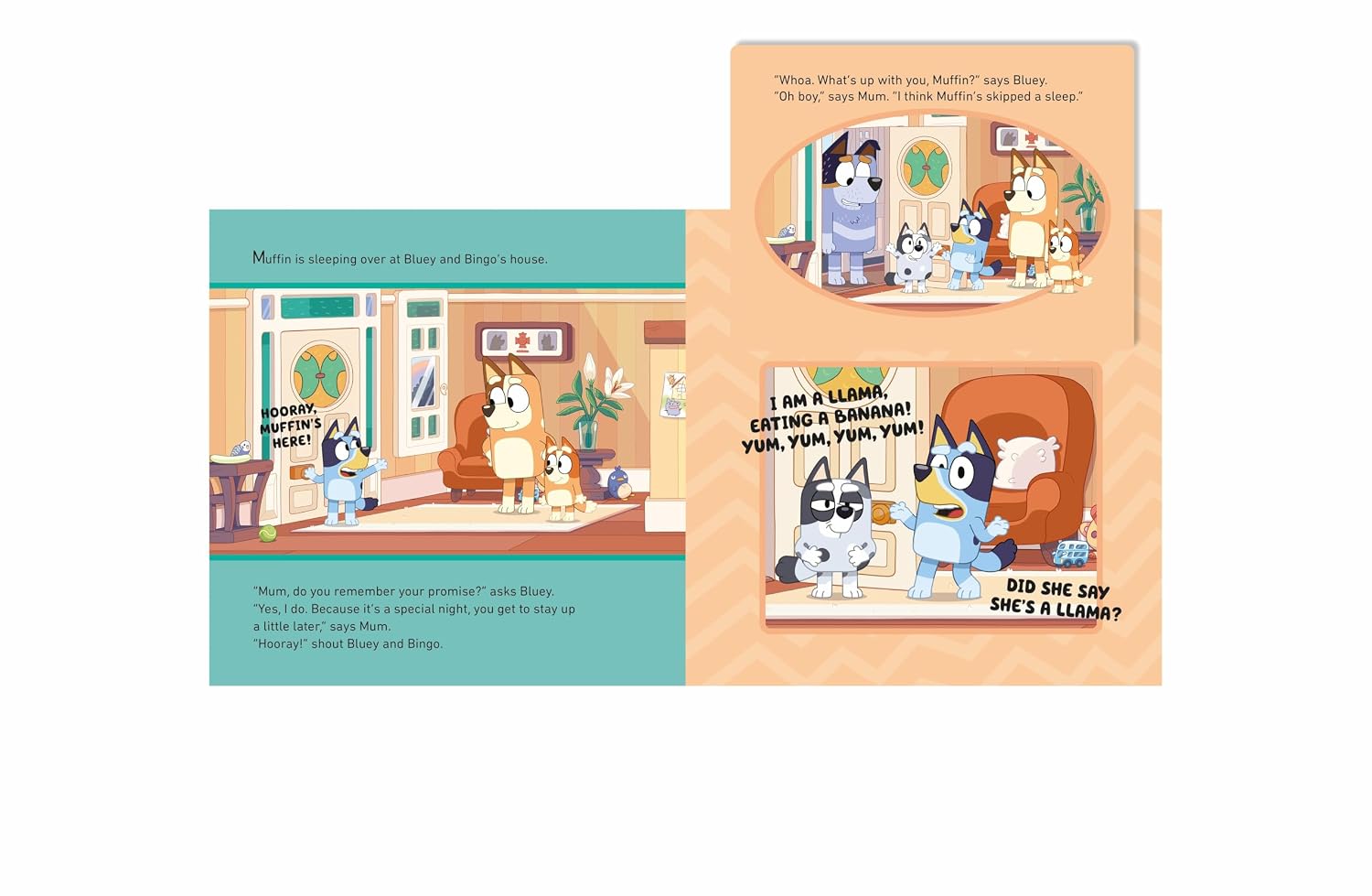 The Sleepover (Bluey) Paperback