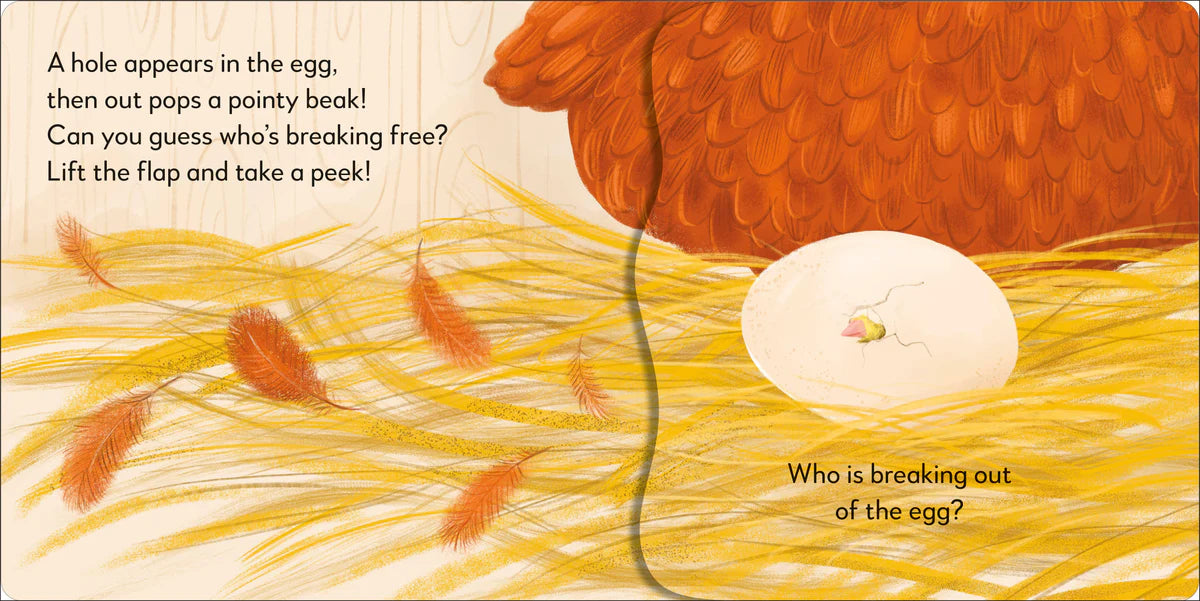 Chick (Pop-Up Peekaboo!)