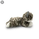 Uw Ss 12 Laying Cat