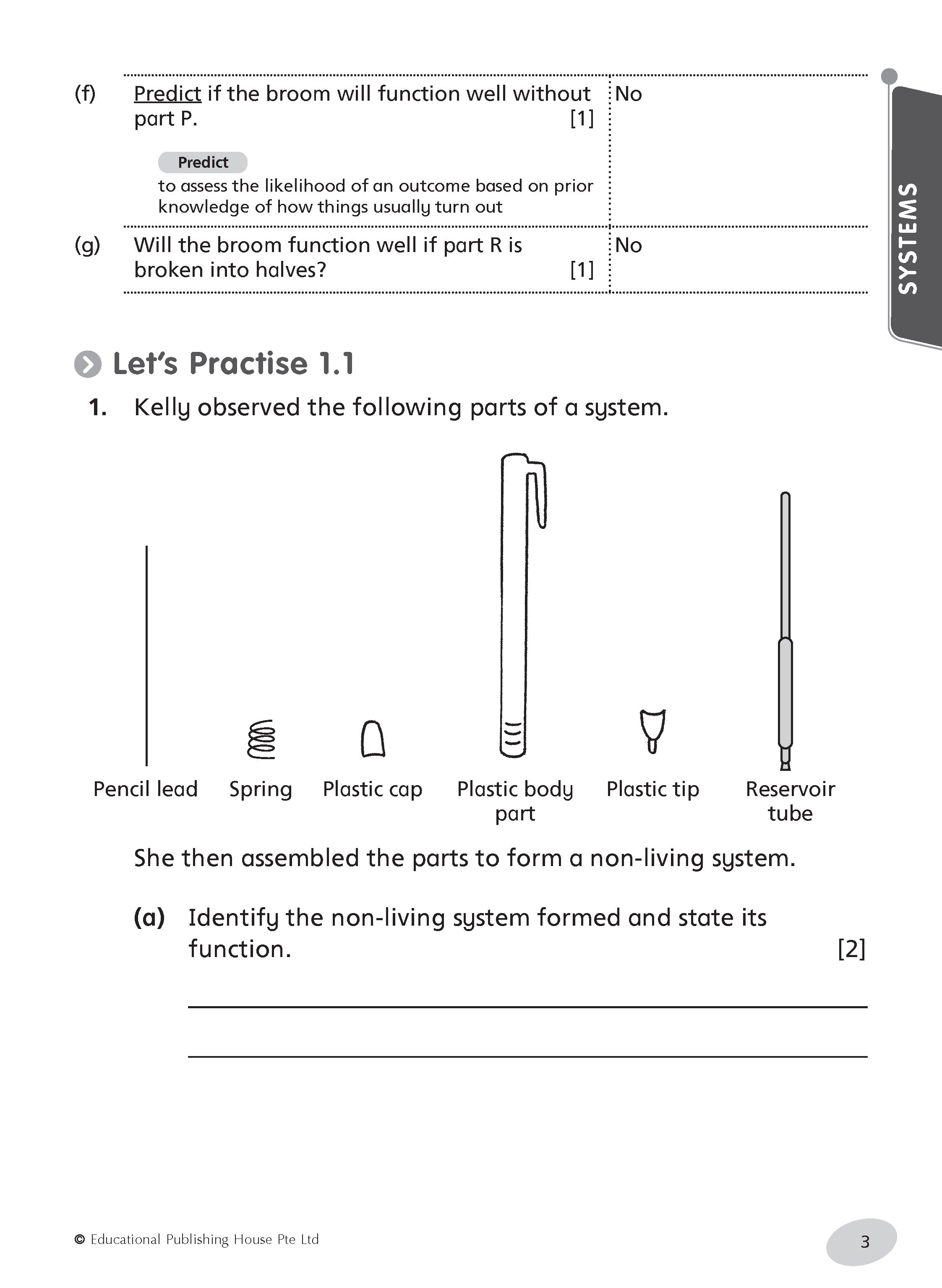 Primary 4 Science Notes & Practice