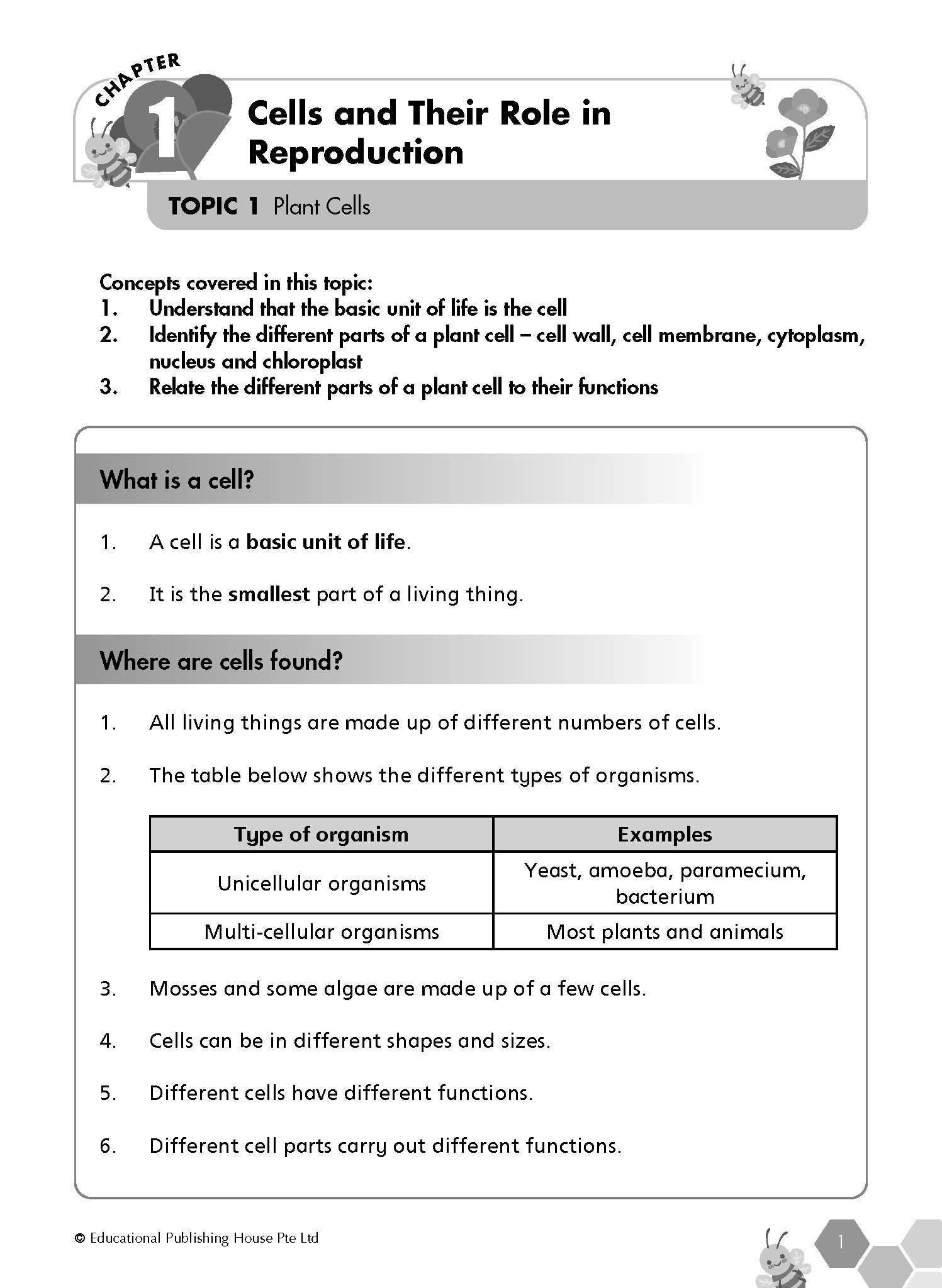 Primary 5 Science Revision Workbook
