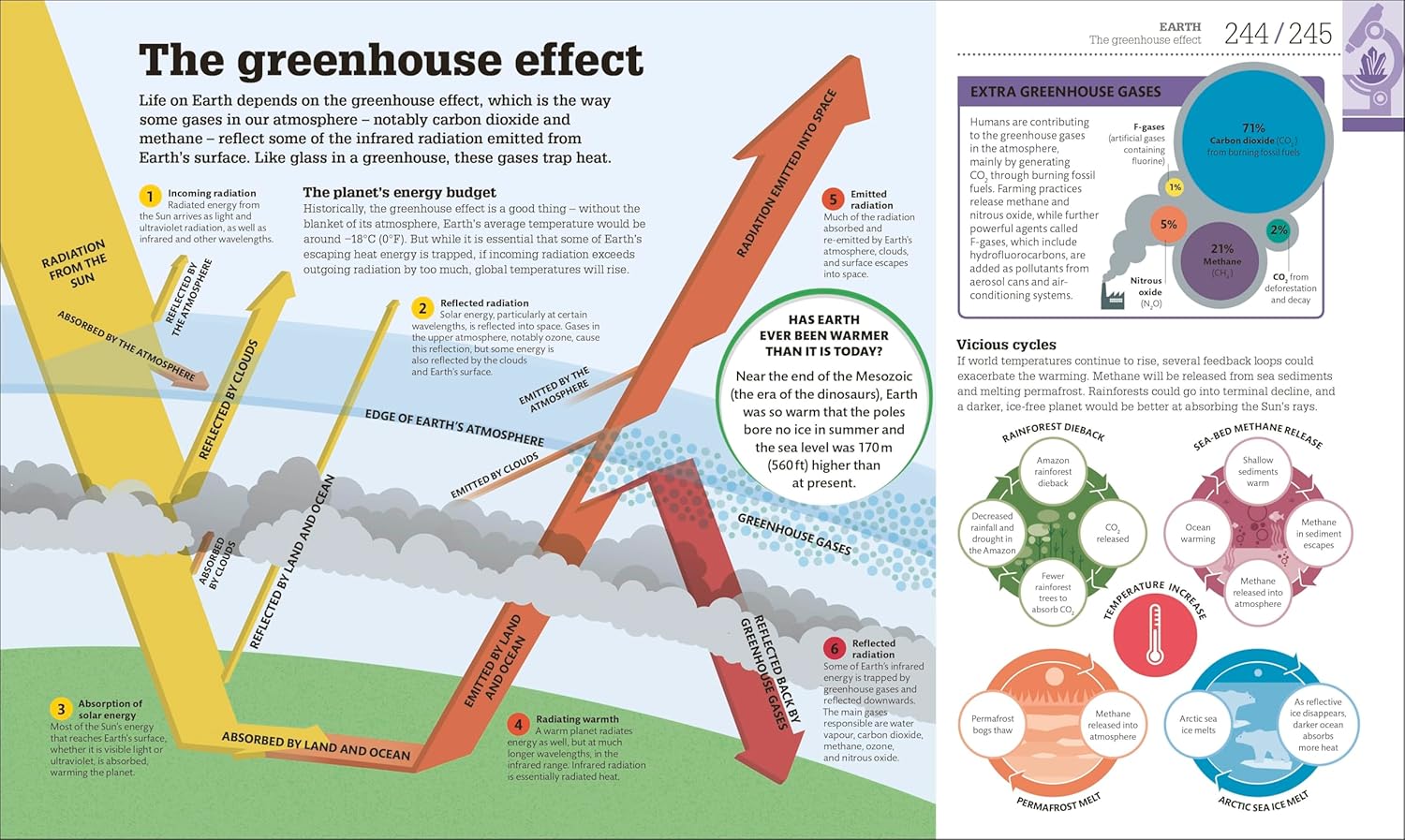 How Science Works: The Facts Visually Explained (Hardcover) 