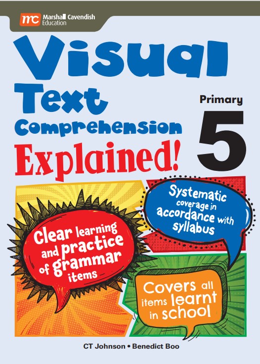 Primary 5 Visual Text Comprehension Explained!