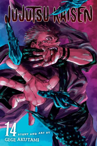 Jujutsu Kaisen, Vol. 14 (Manga)