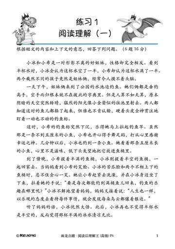 Primary 6 画龙点睛-高级华文阅读后理解王