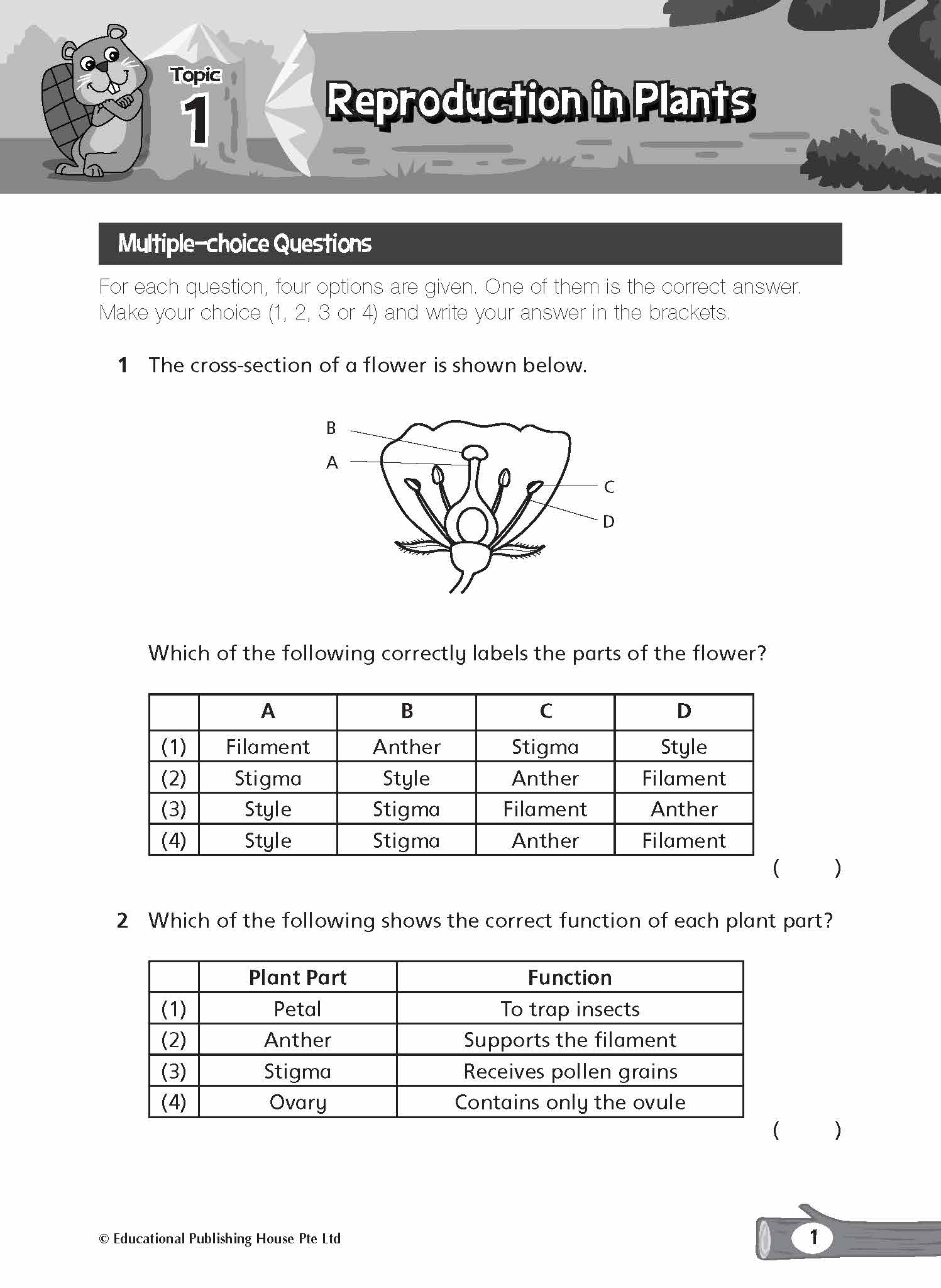 Primary 5/6 Complete Science Topical Tests Qr