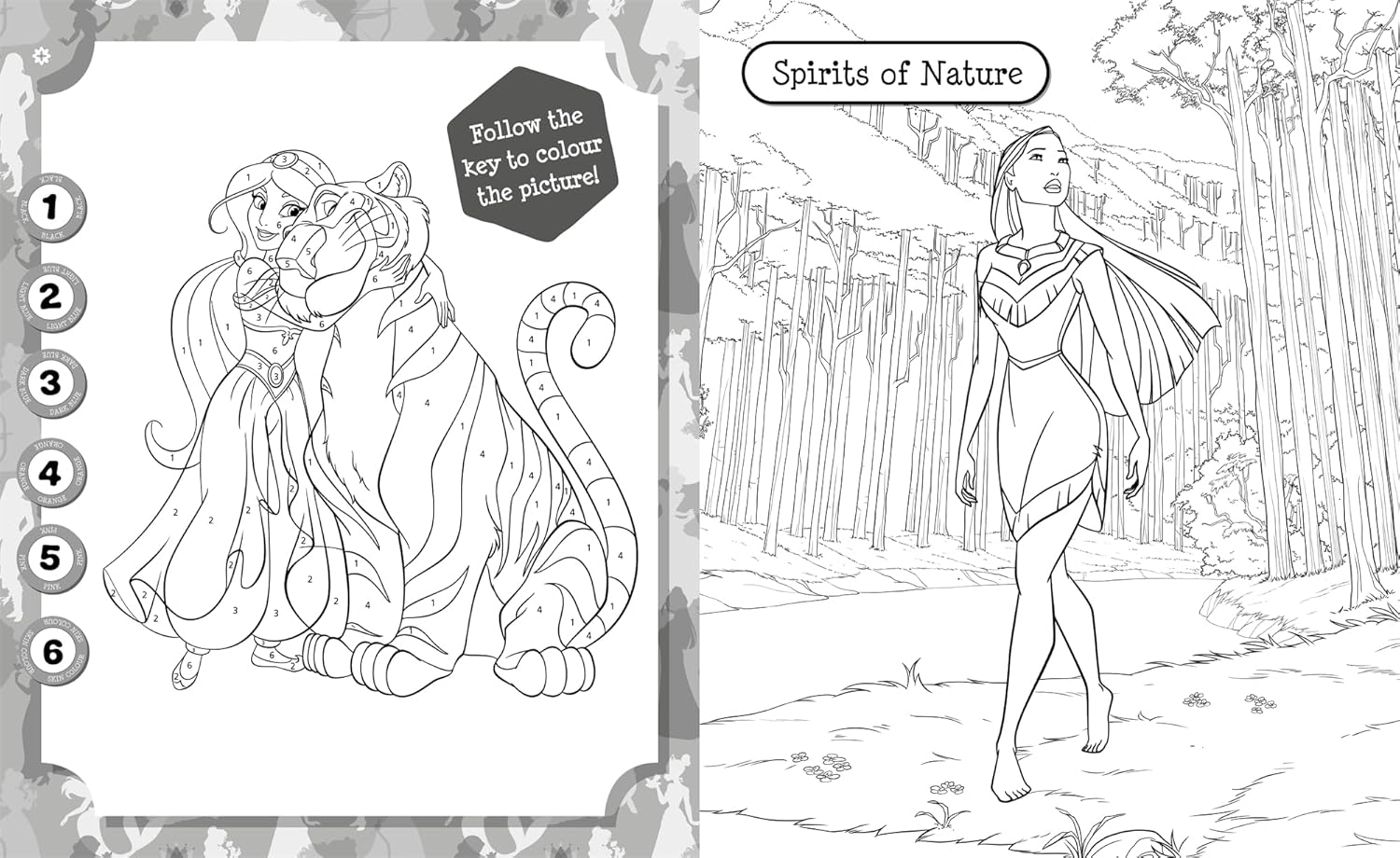 Disney Princess: 5 in 1 Colouring (Paperback)