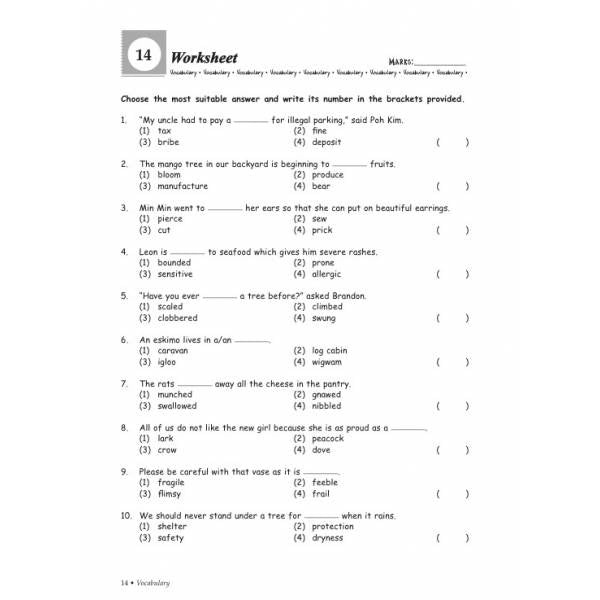 Primary 3 Grammar & Vocabulary