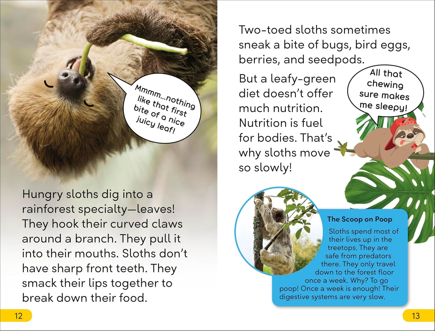 DK Super Readers Level 2 Sassy Sloth (Paperback)