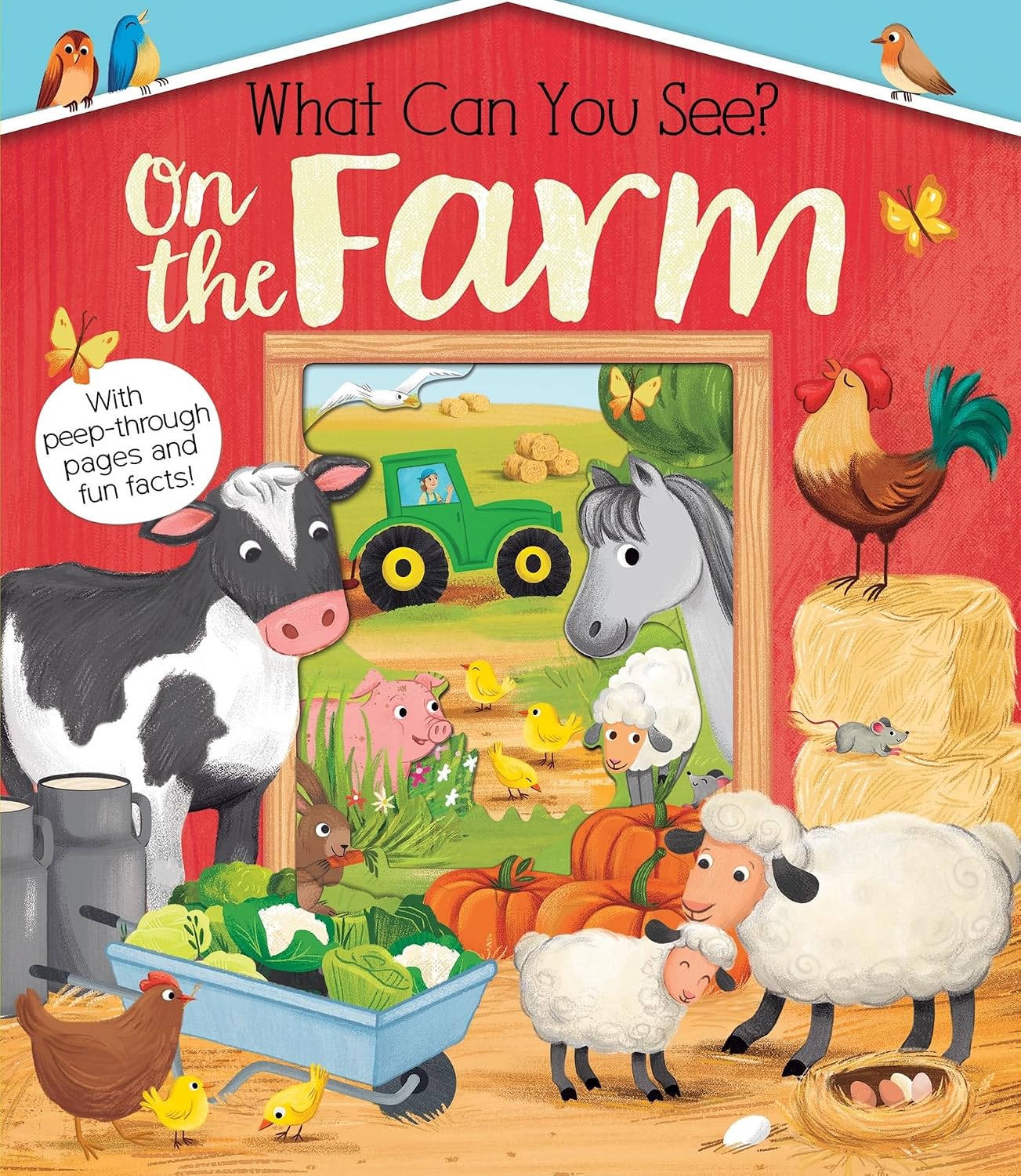 What Can You See On the Farm? - What Can You See? (Board book)