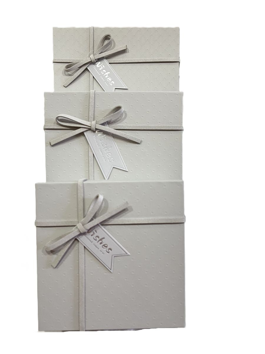 Gift Box (M) 17*17*8 Y92301