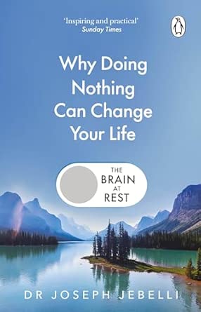 The Brain At Rest (Paperback)